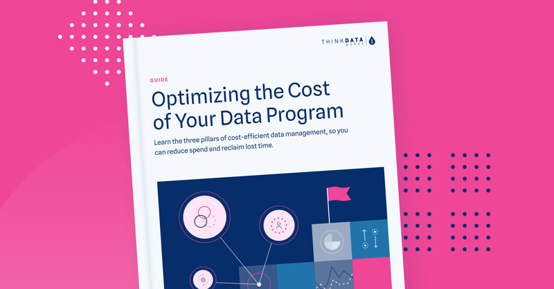 Cover of guide titled Optimizing the Cost of Your Data Program