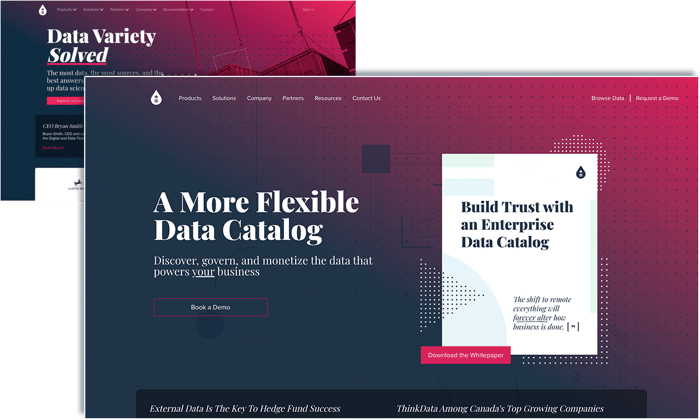 ThinkData Works' new homepage focuses on external data catalogs