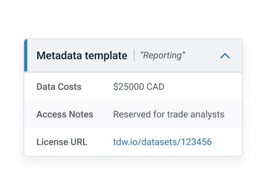 Metadata template in data catalog platform