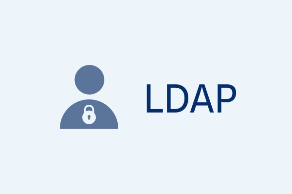 Graphic with LDAP text