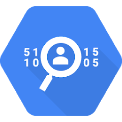 Google DLP