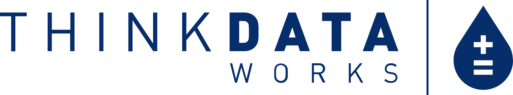 ThinkData Works logo