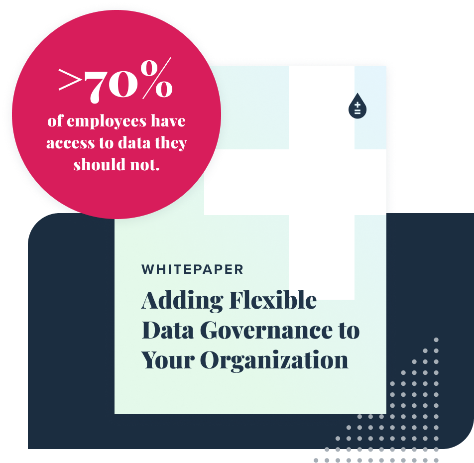 Add Flexible Data Governance to Your Organization